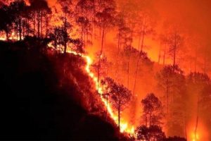 Cháy rừng tác động như thế nào đến sức khoẻ của con người và môi trường sống?