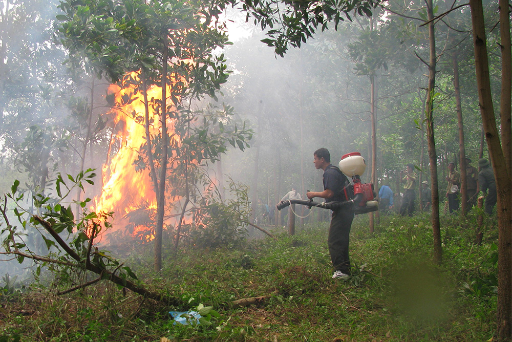 Cháy rừng tác động như thế nào đến sức khoẻ của con người và môi trường sống?